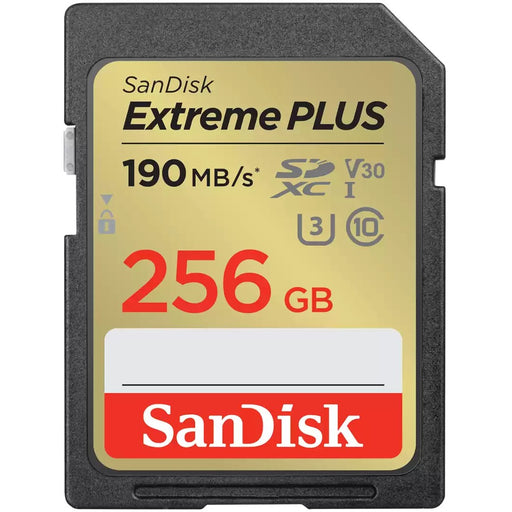 SanDisk SDSDXW2-256G-GNCIN