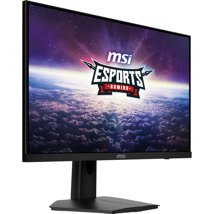 MSI G244F E2 computer monitor