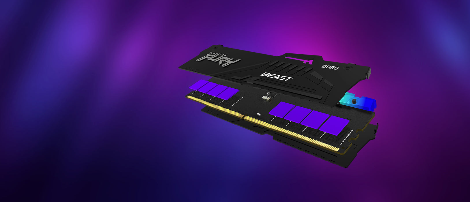Kingston Technology FURY Beast RGB memory module