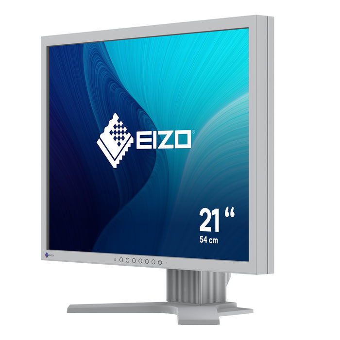 EIZO FlexScan S2134 LED display