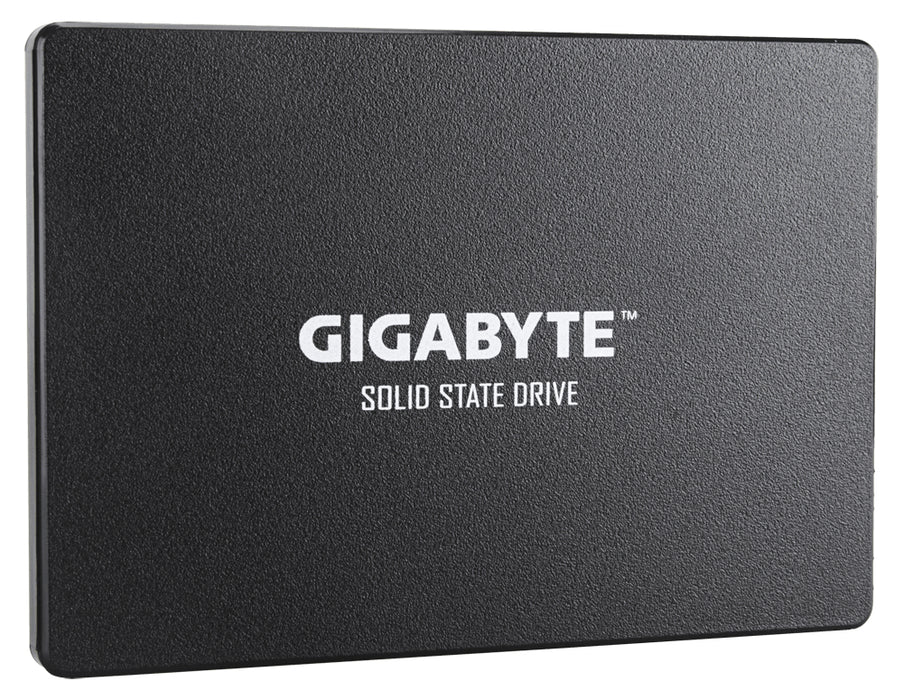 GIGABYTE GP-GSTFS31256GTND internal solid state drive