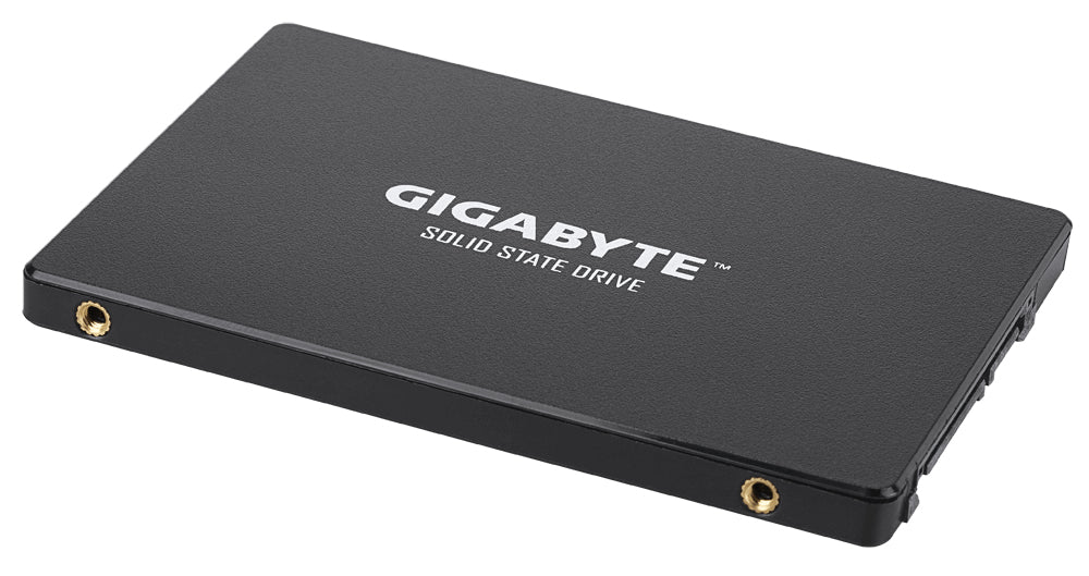 GIGABYTE GP-GSTFS31256GTND internal solid state drive