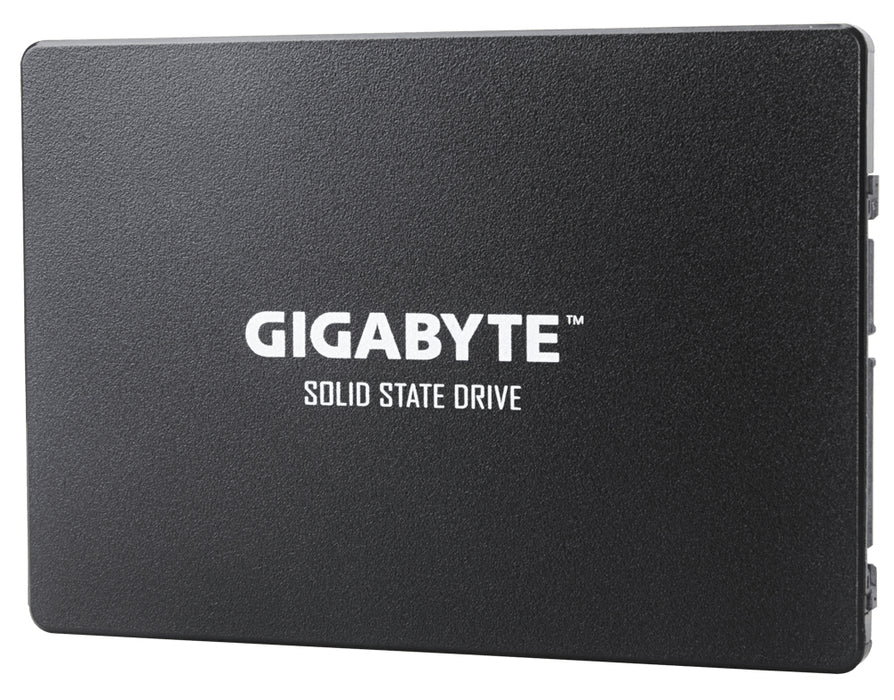 GIGABYTE GP-GSTFS31256GTND internal solid state drive