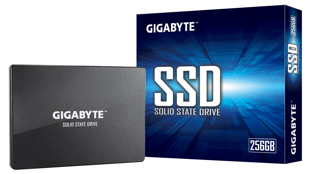 GIGABYTE GP-GSTFS31256GTND internal solid state drive