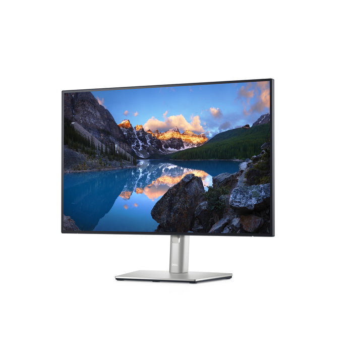 DELL UltraSharp U2421E LED display