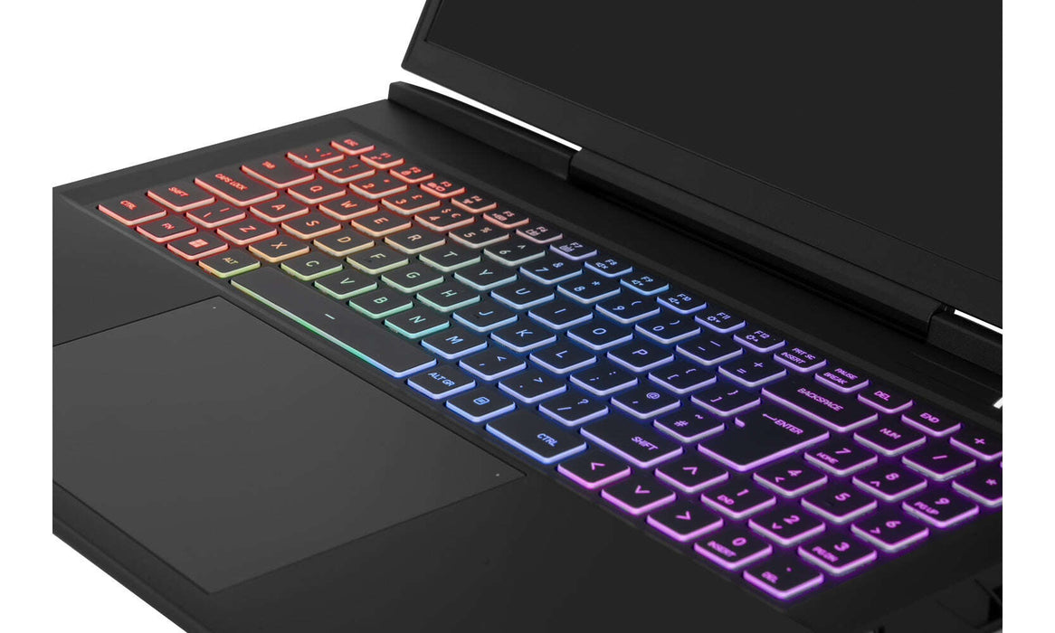 INTEL GAMING - GAMEFORCE 17.3" INTEL CORE I9 GAMING LAPTOP WITH NVIDIA GeFORCE RTX4060