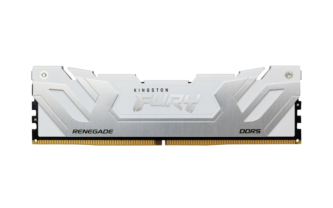 Kingston Technology FURY Renegade memory module