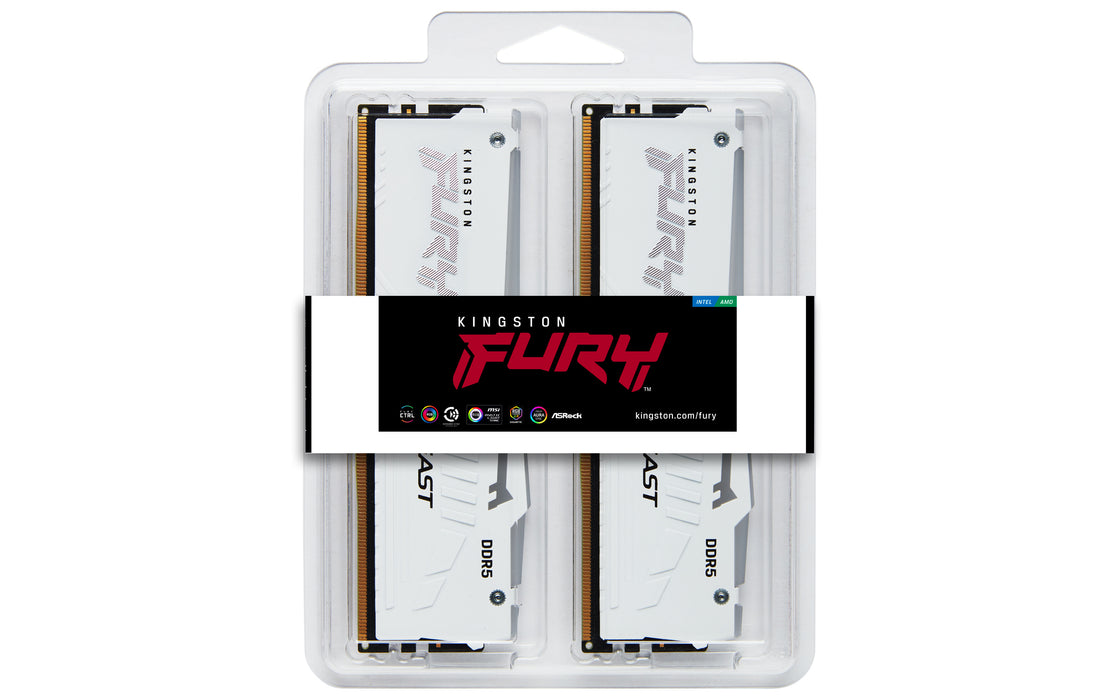Kingston Technology FURY Beast RGB memory module